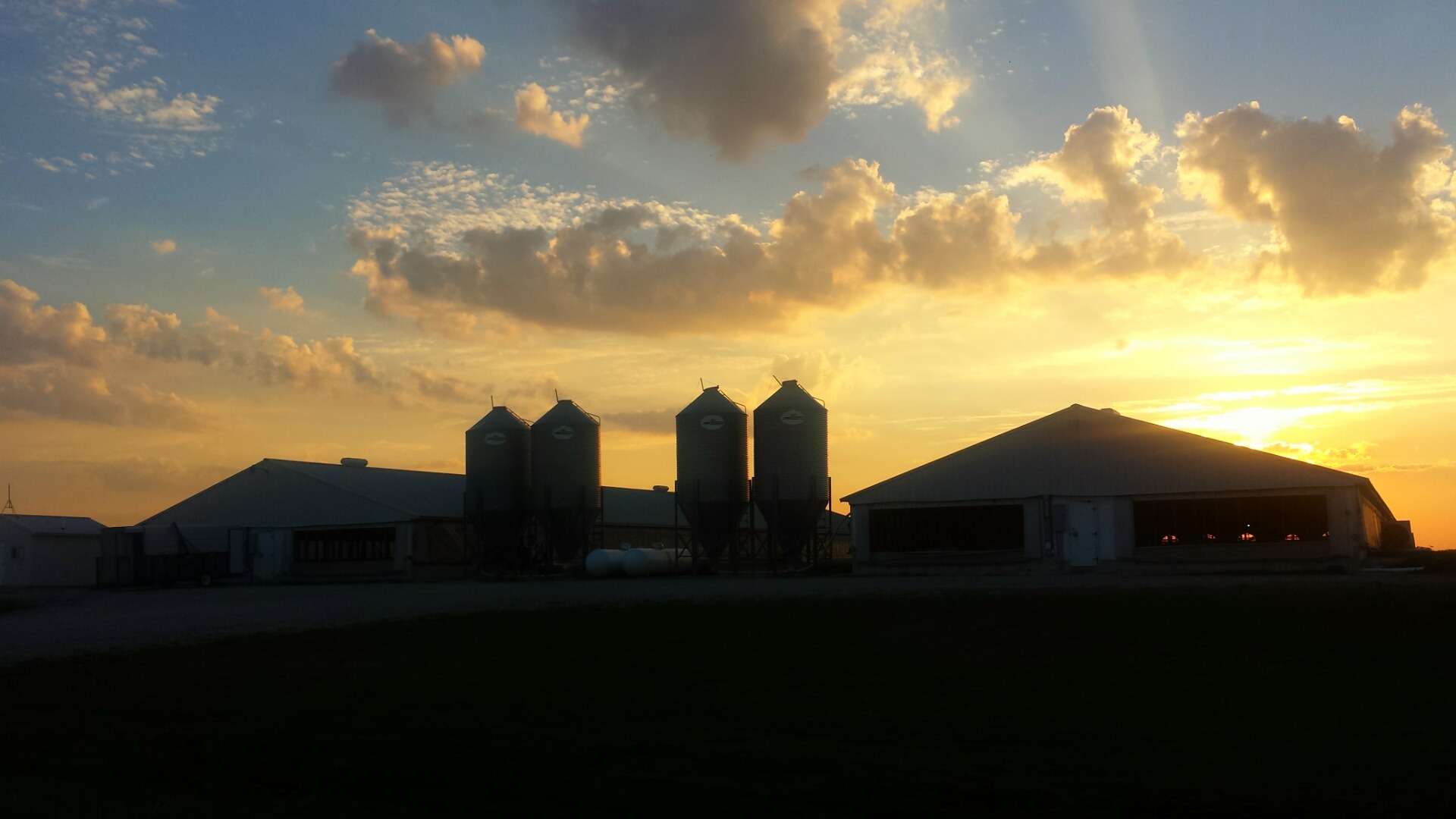 Photo for 3 Ways the Pork Industry Benefits Calhoun County
