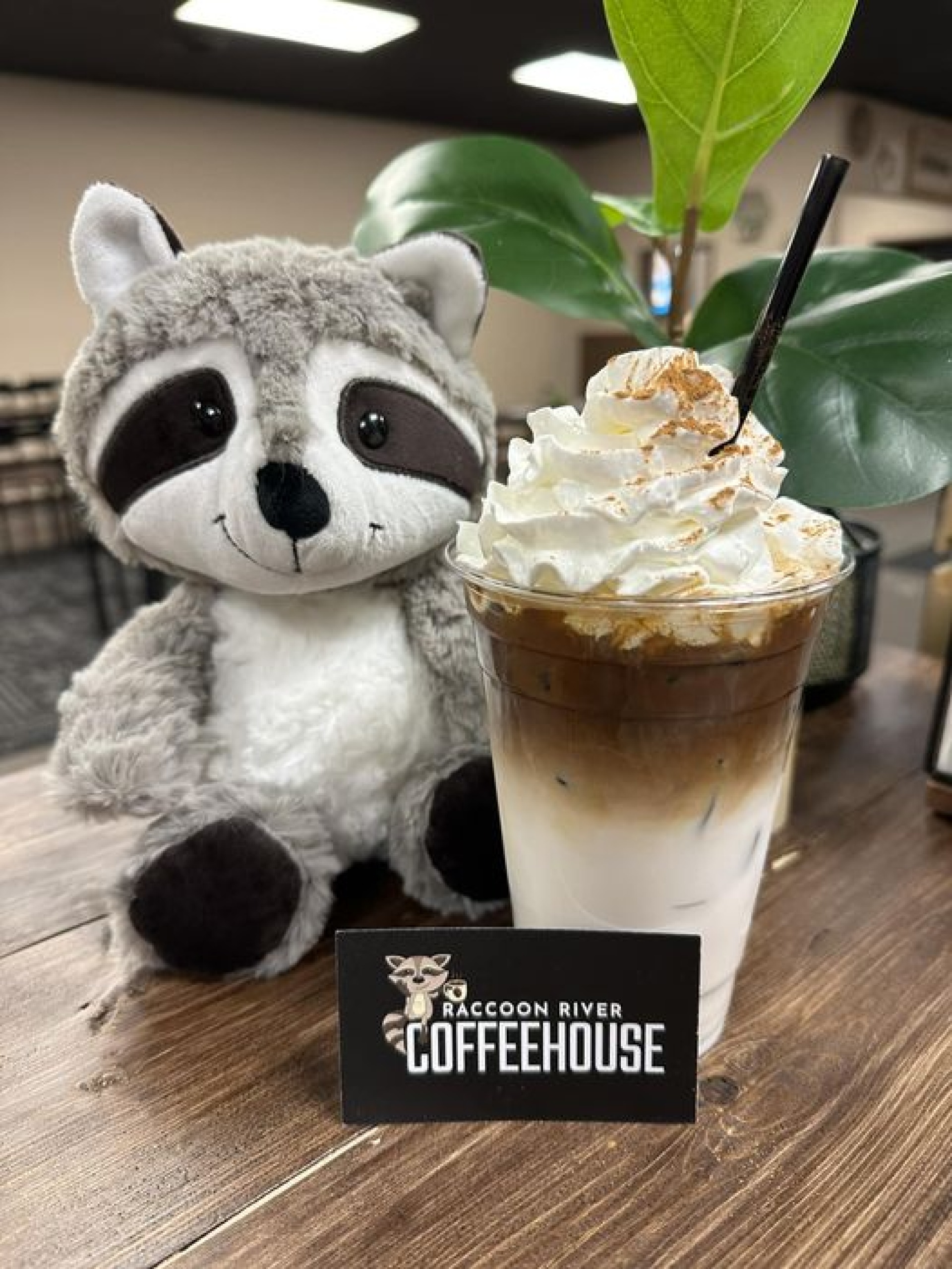 Photo for Raccoon River Coffeehouse Brews Excitement in Lake City