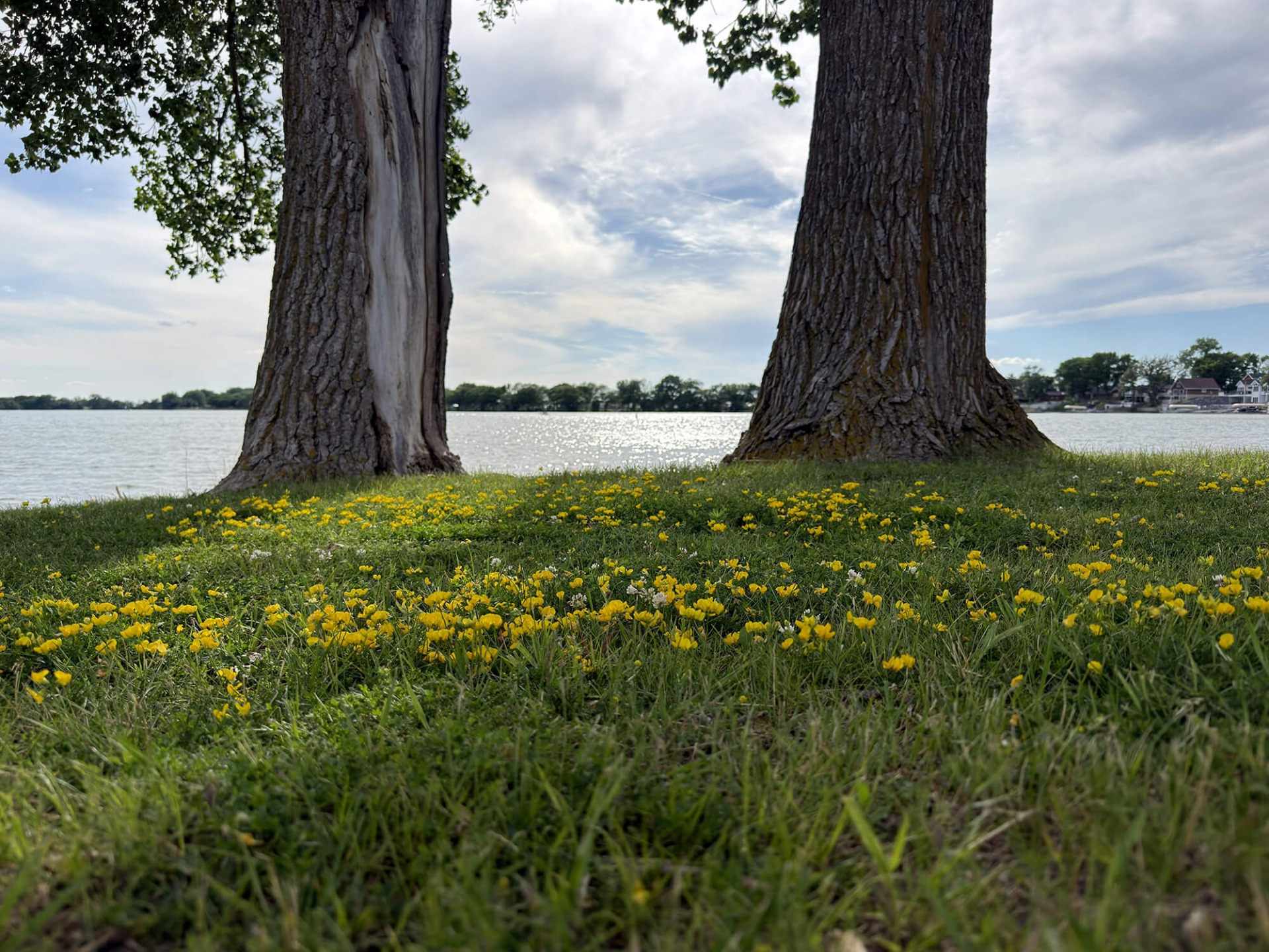 Photo for Two-Day Getaway in Calhoun County