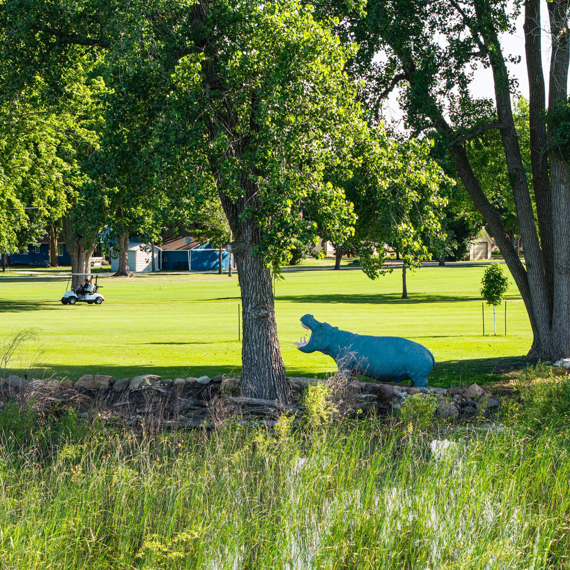 A golf cart drives past a hippo statue on the Twin Lakes Golf Course.